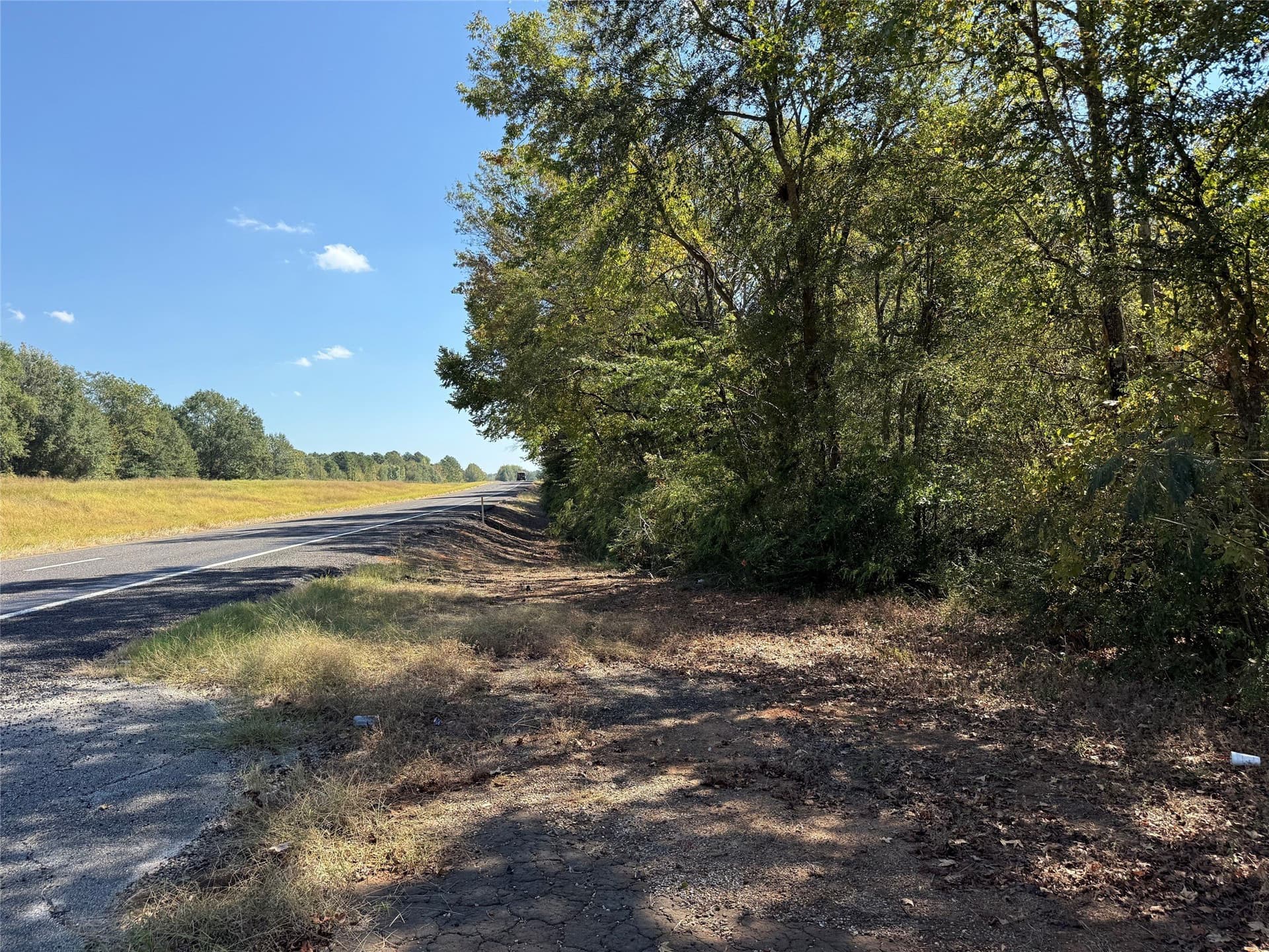 20.2 acres in Wood County gallery image 2
