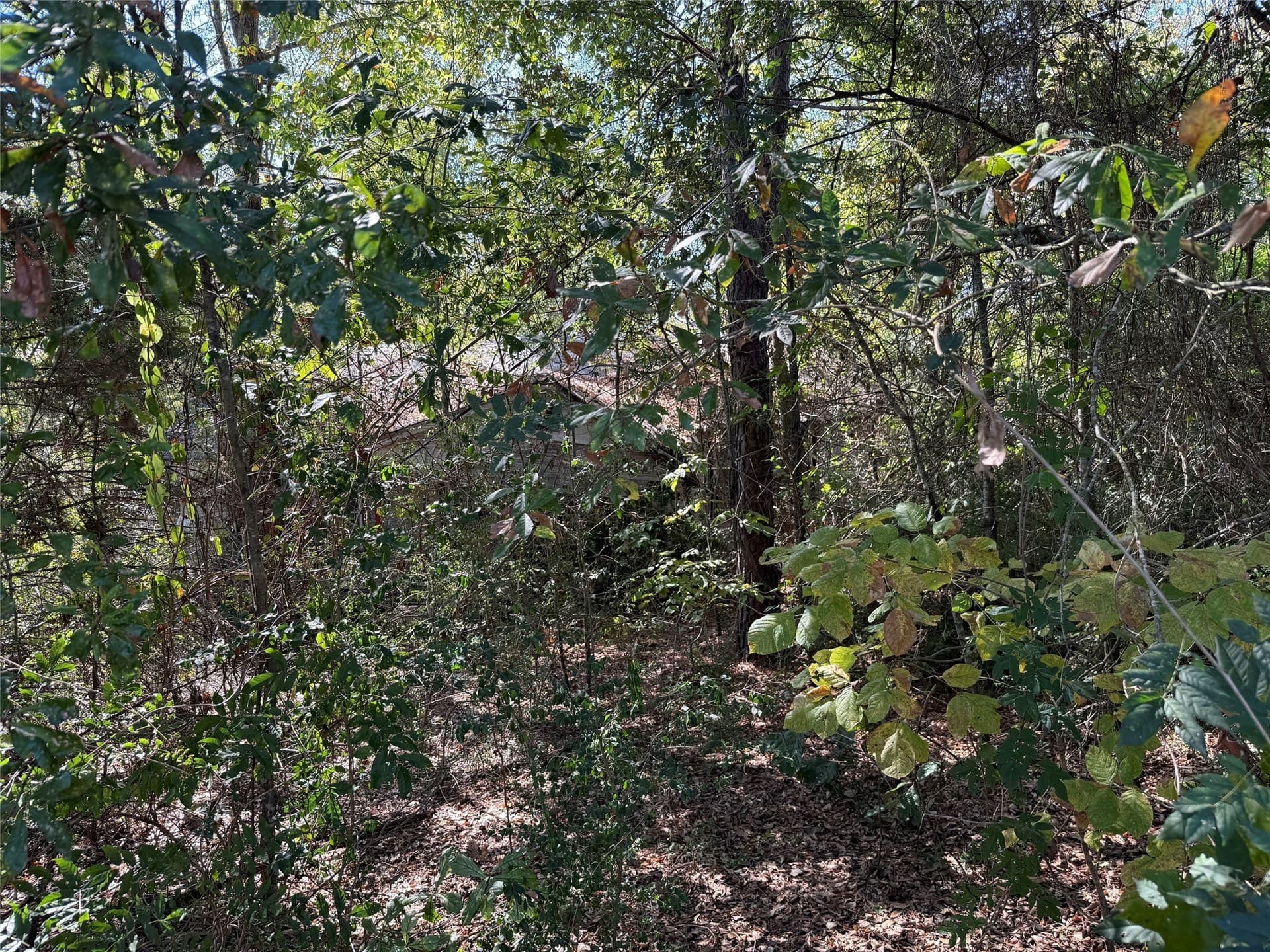 20.2 acres in Wood County - photo 7