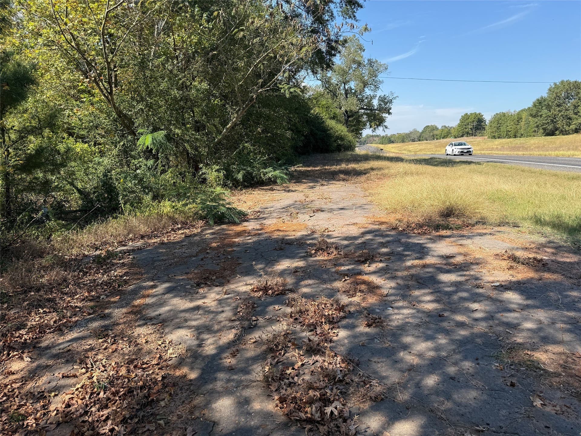 20.2 acres in Wood County gallery image 4
