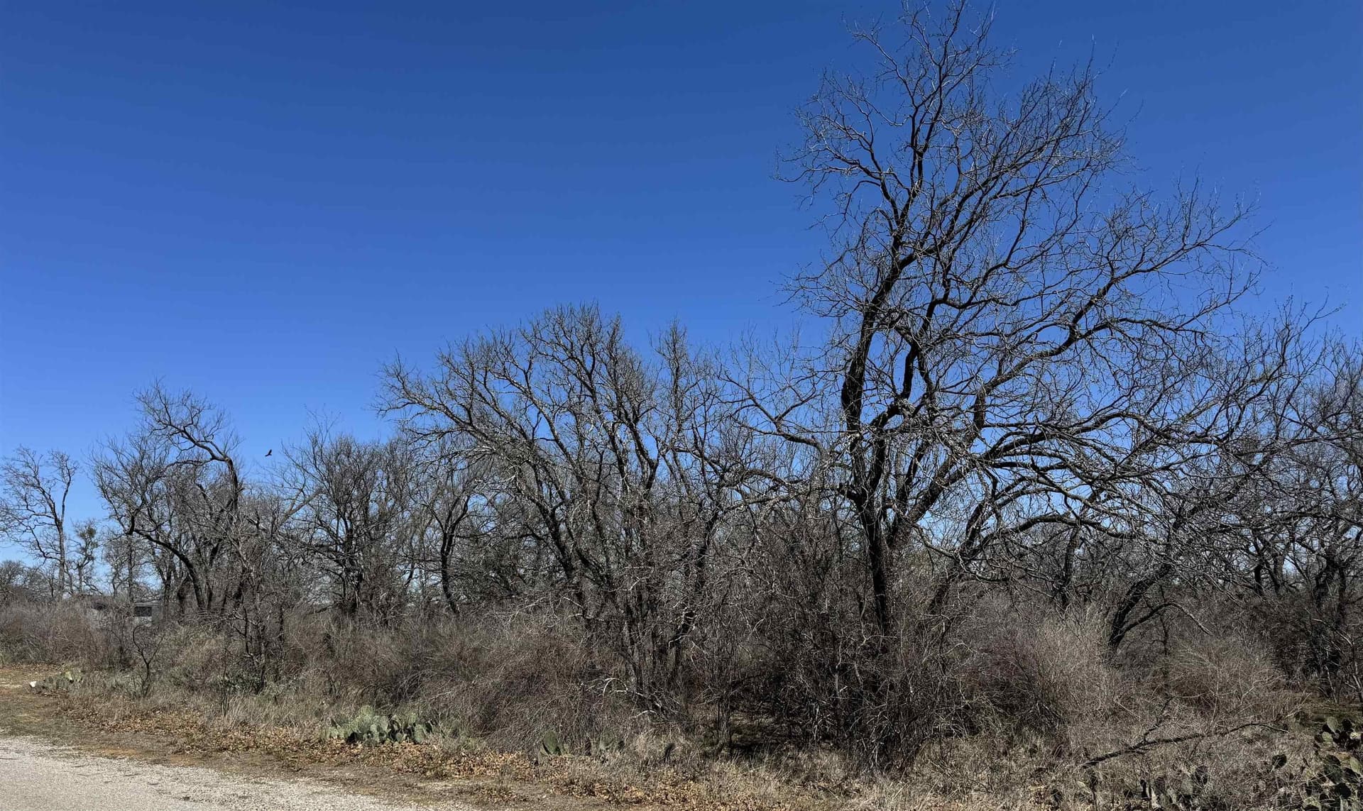 0.43 acres in Llano County gallery image 4