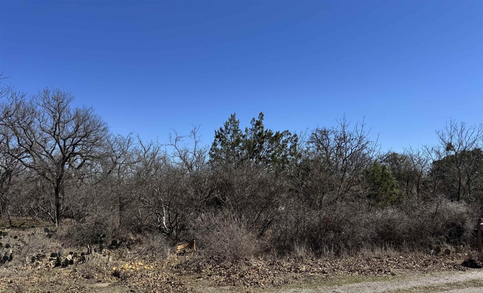 0.43 acres in Llano County - photo 6