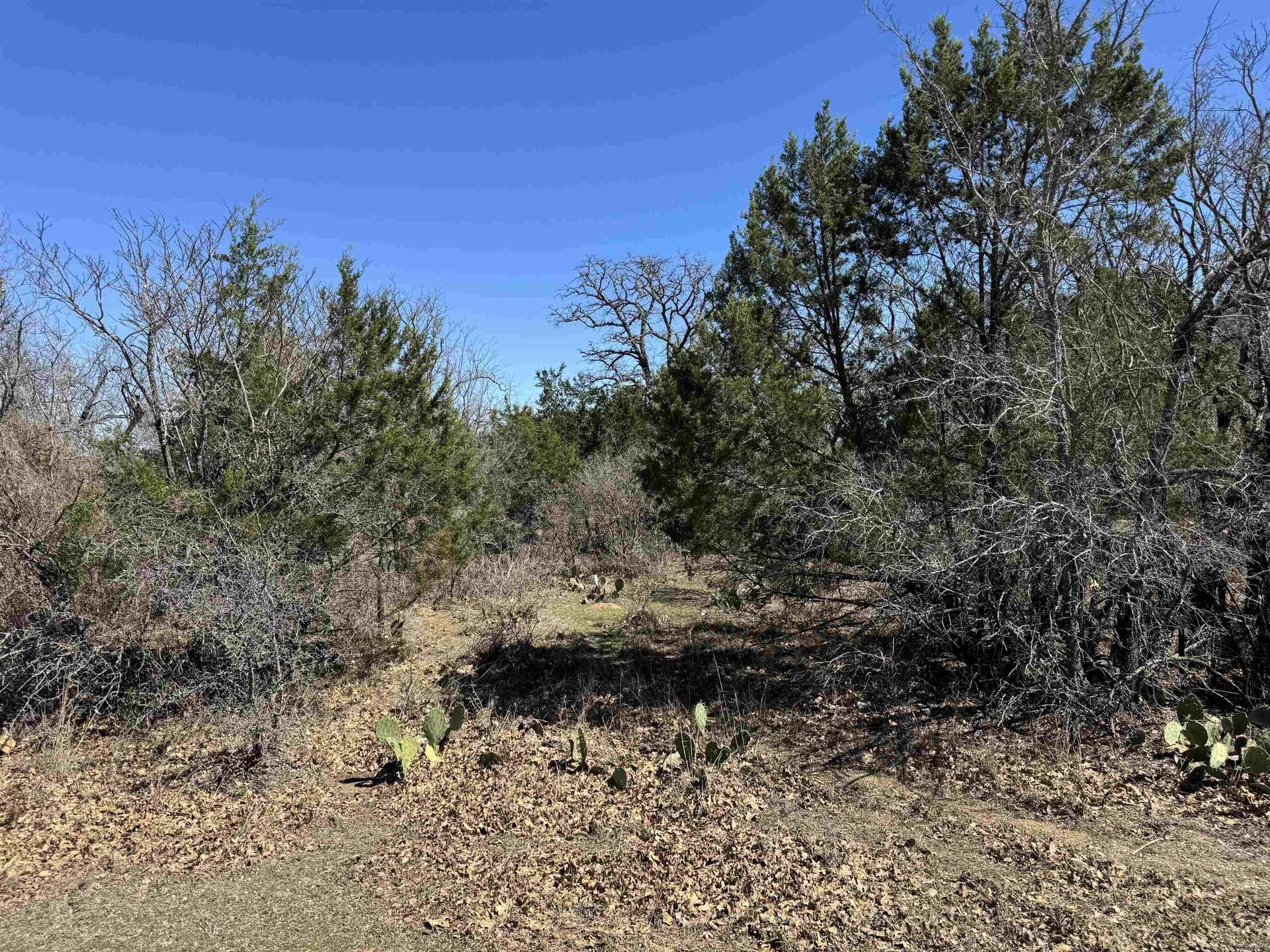 0.43 acres in Llano County gallery image 3