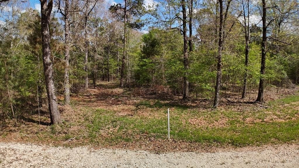9.62 acres in Texas County - photo 13