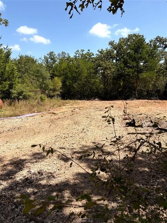 0.72 acres in Burleson County - photo 5