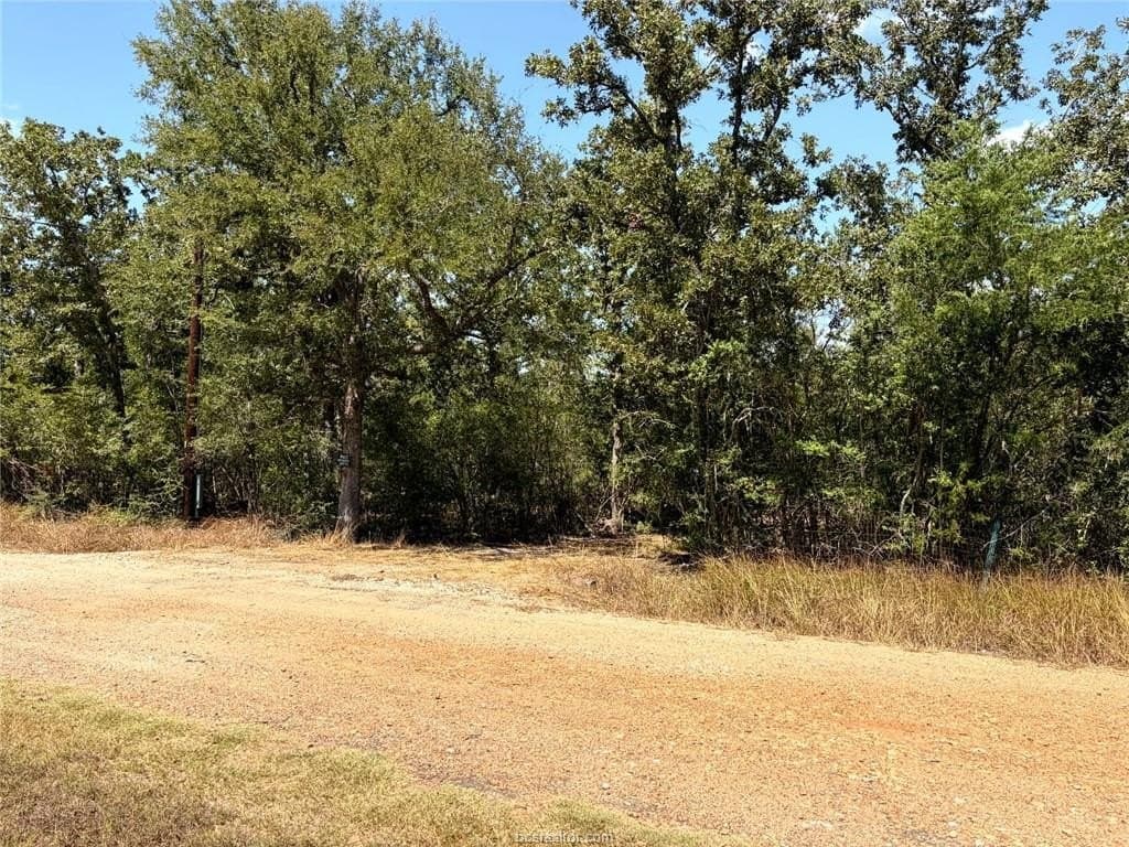 0.72 acres in Burleson County - photo 3