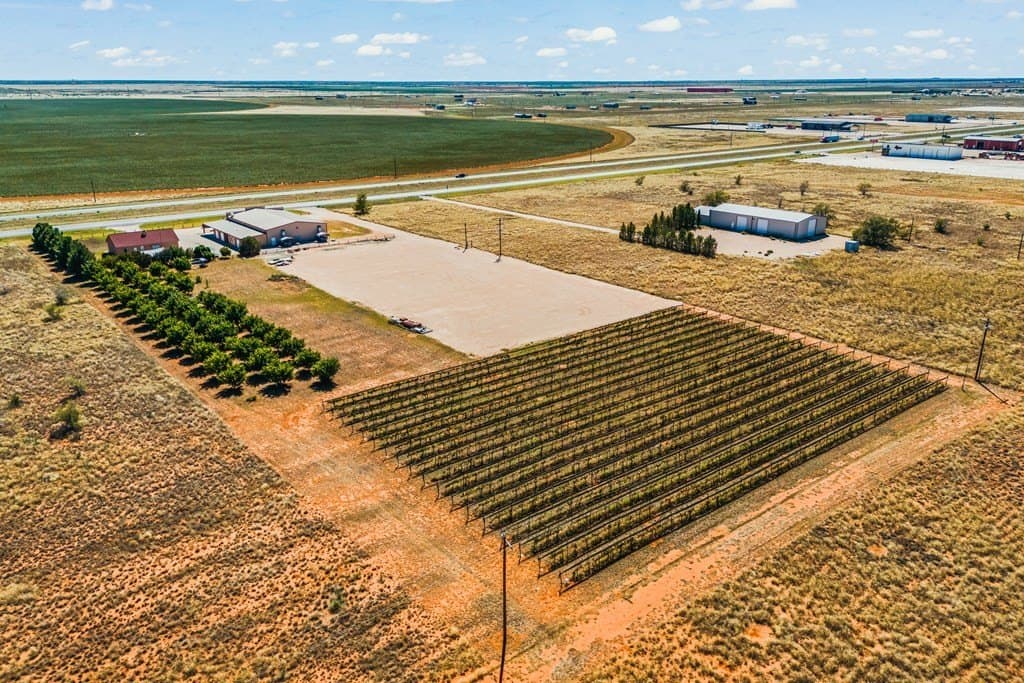 20.01 acres in Gaines County - photo 35