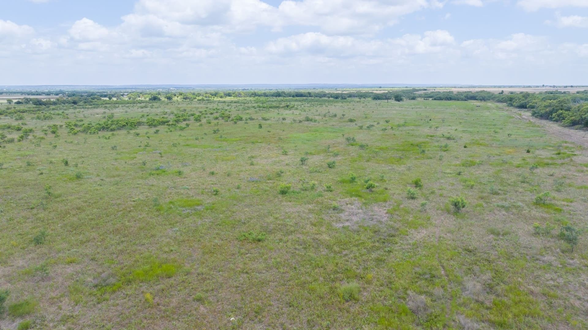 43.01 acres in Taylor County - photo 22