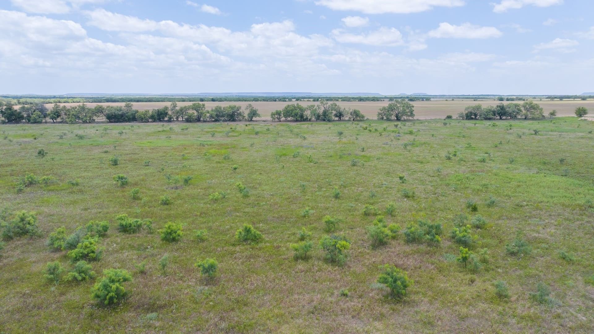 43.01 acres in Taylor County gallery image 4