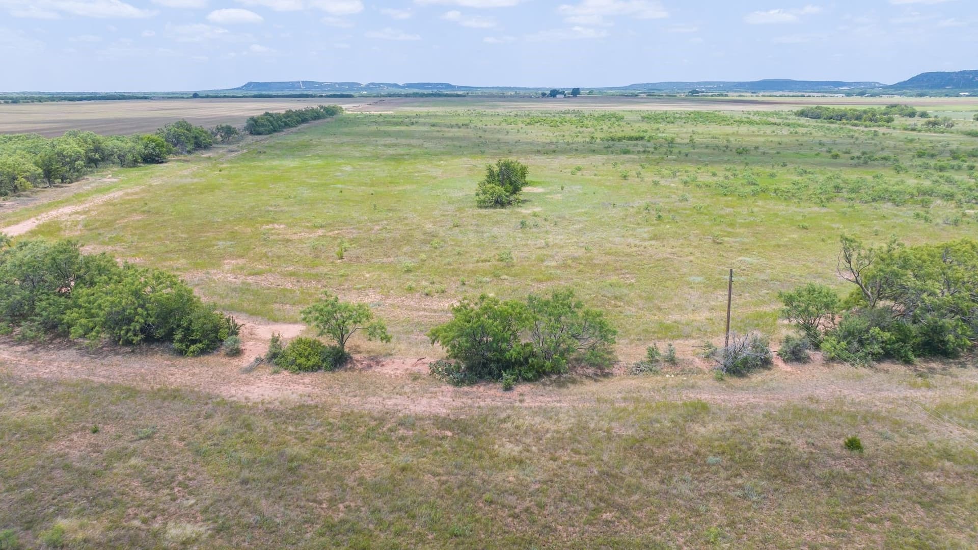43.01 acres in Taylor County - photo 8