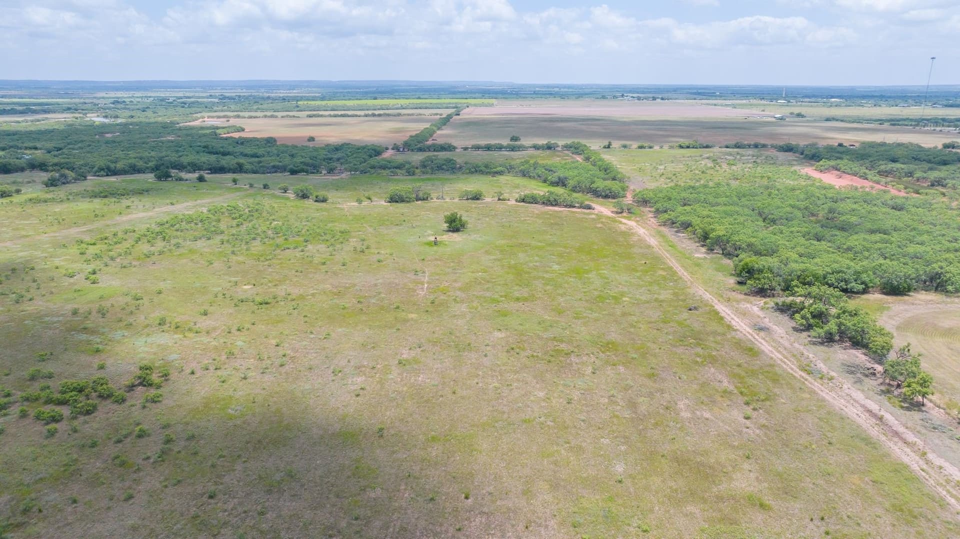 43.01 acres in Taylor County gallery image 3