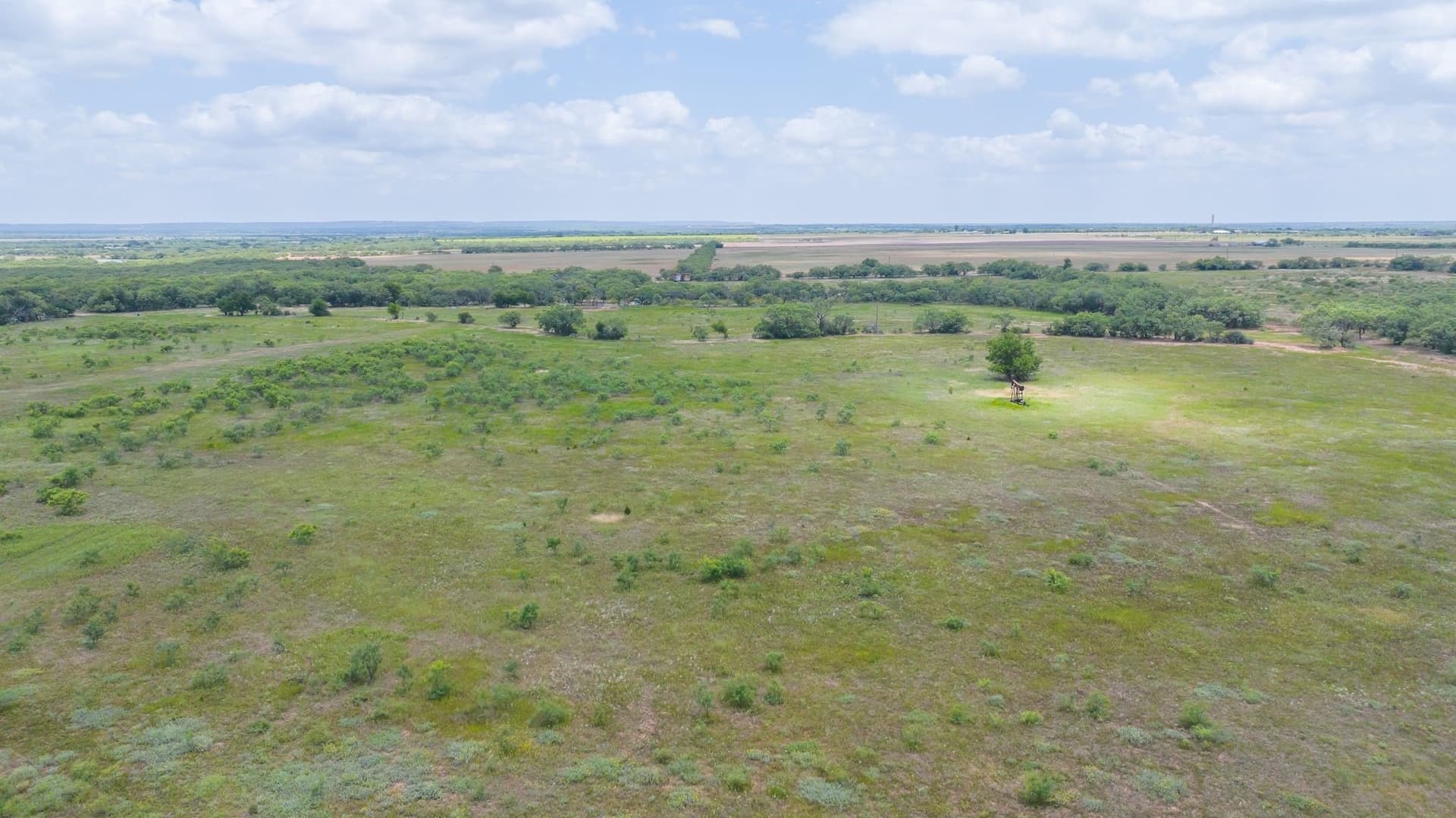 43.01 acres in Taylor County - photo 23