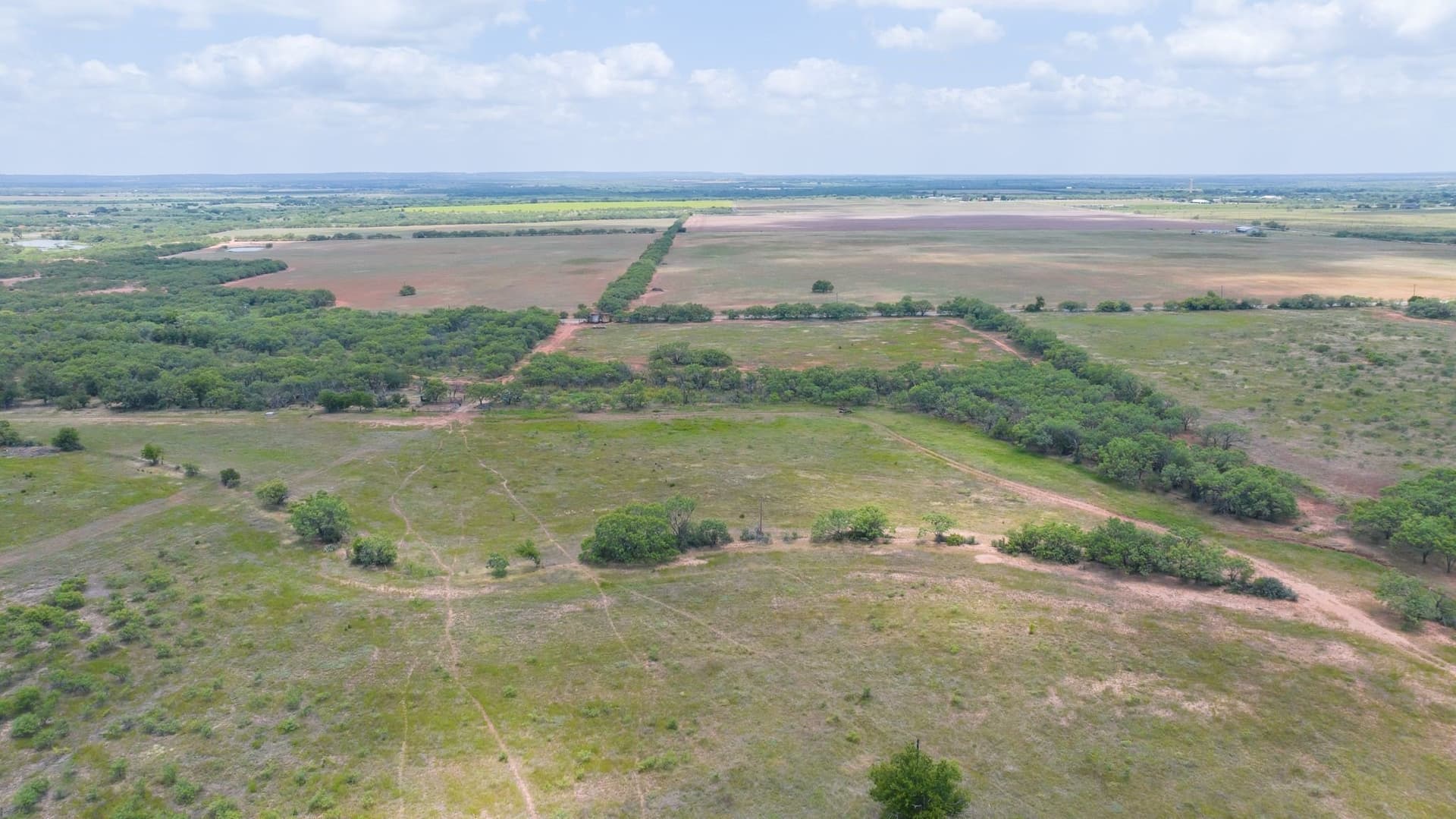 43.01 acres in Taylor County - photo 10
