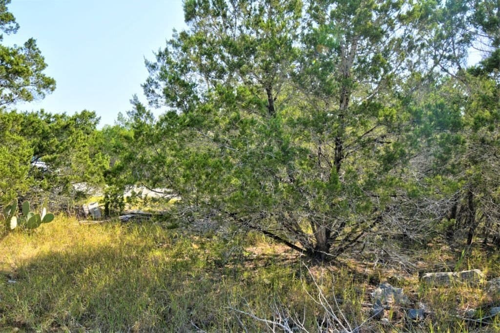 0.65 acres in Bandera County - photo 4