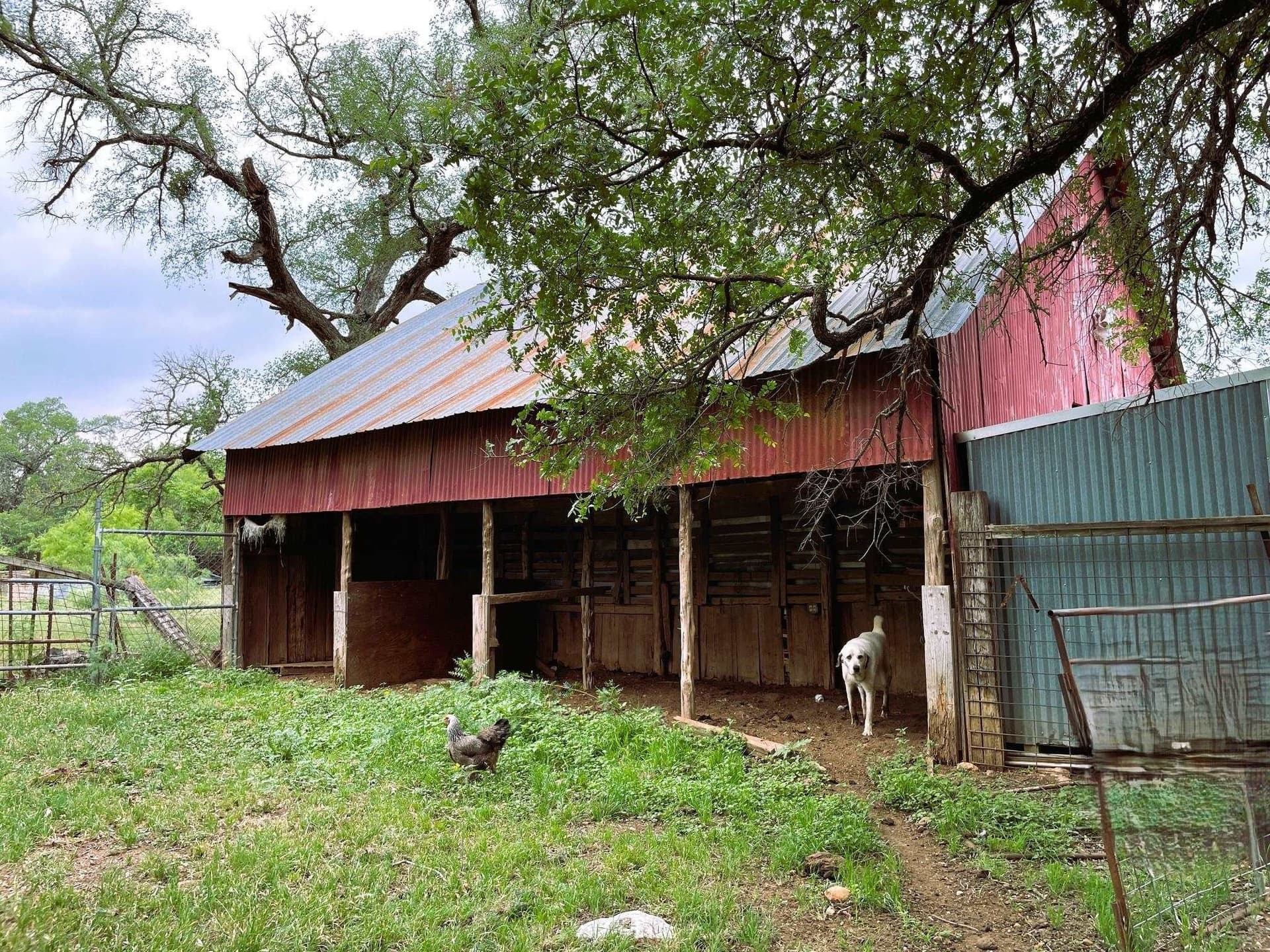 45.66 acres in Burnet County - photo 26