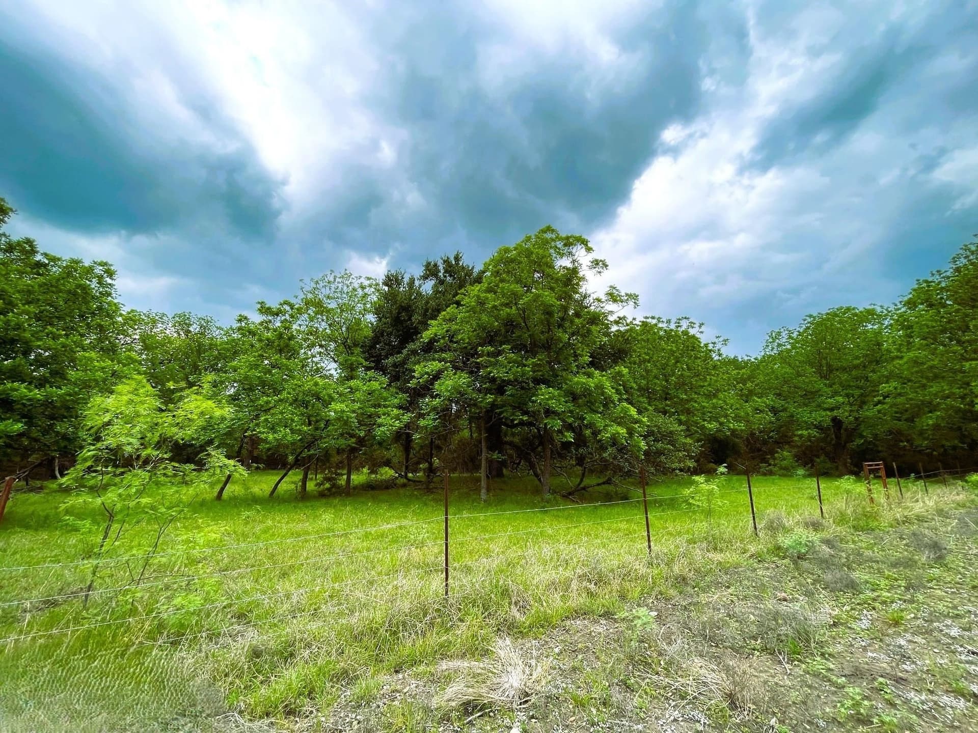 45.66 acres in Burnet County - photo 22