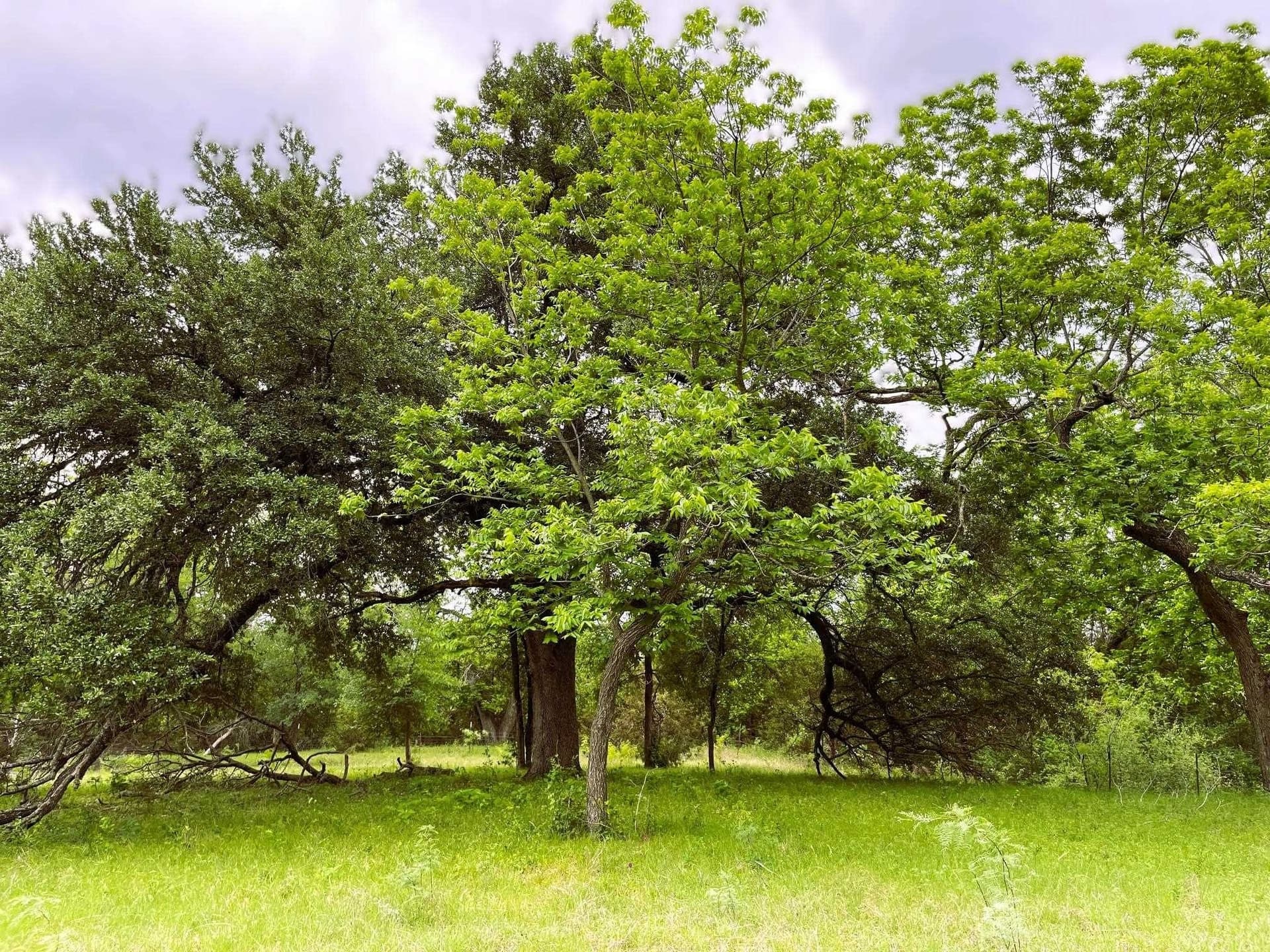 45.66 acres in Burnet County - photo 21
