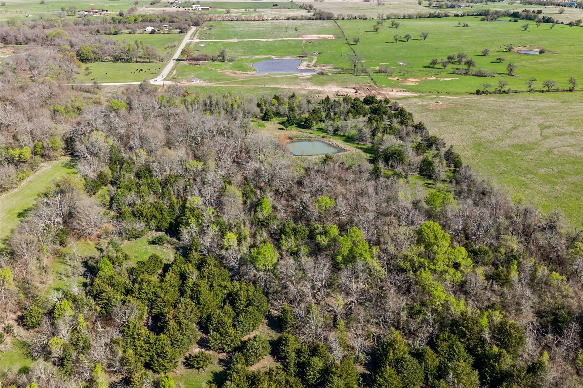 16.66 acres in Hunt County - photo 5