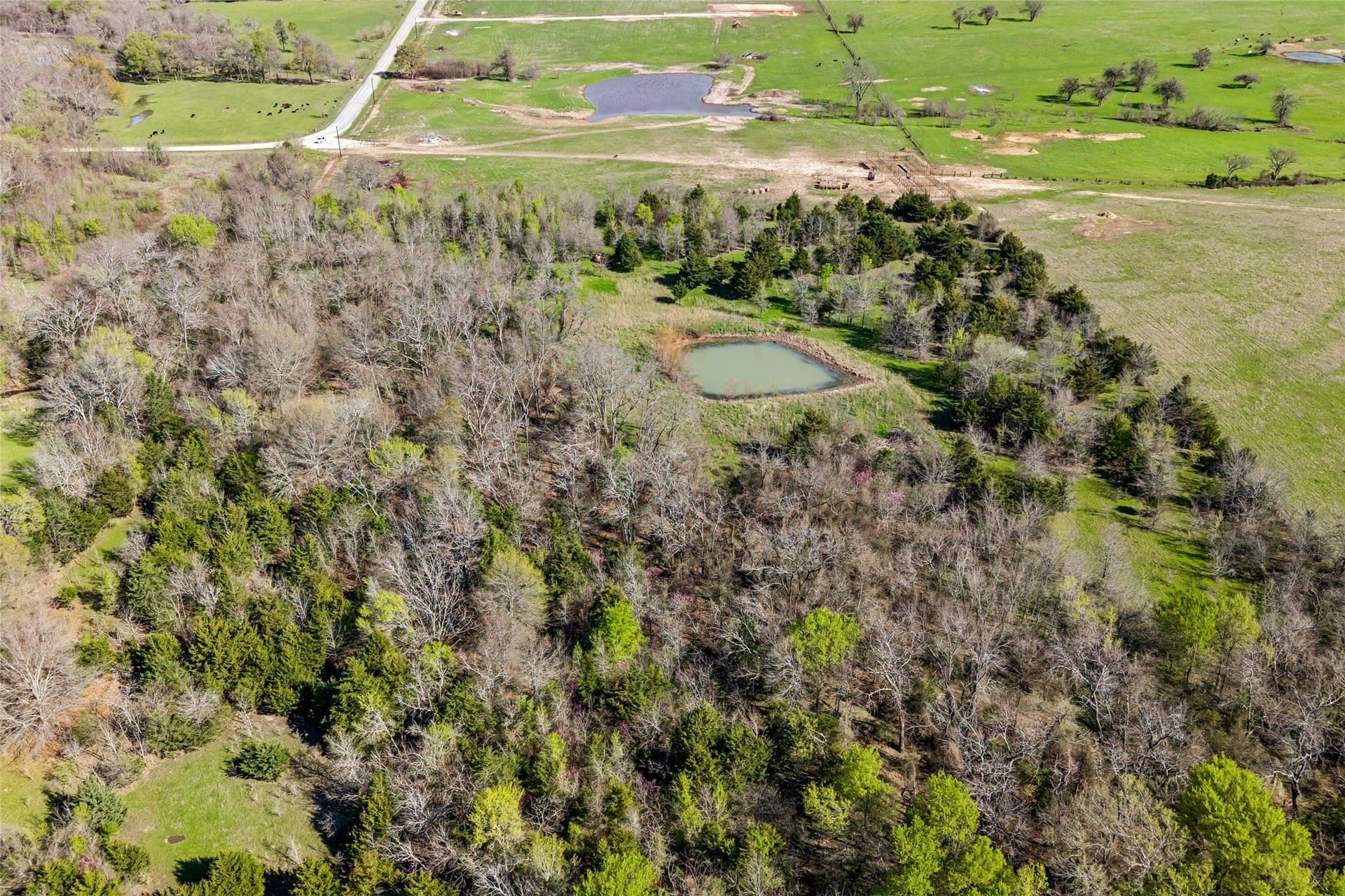 16.66 acres in Hunt County - photo 4