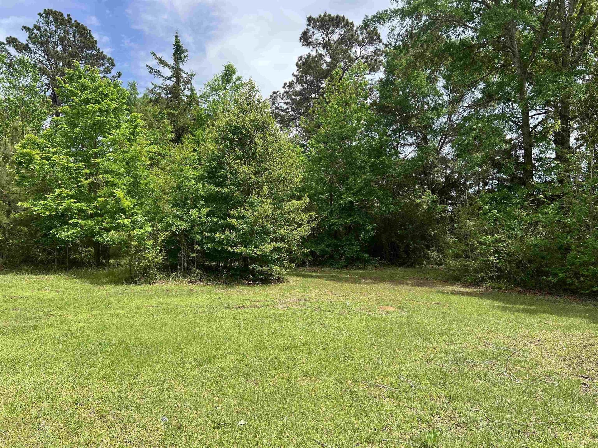 10.69 acres in Rusk County - photo 6