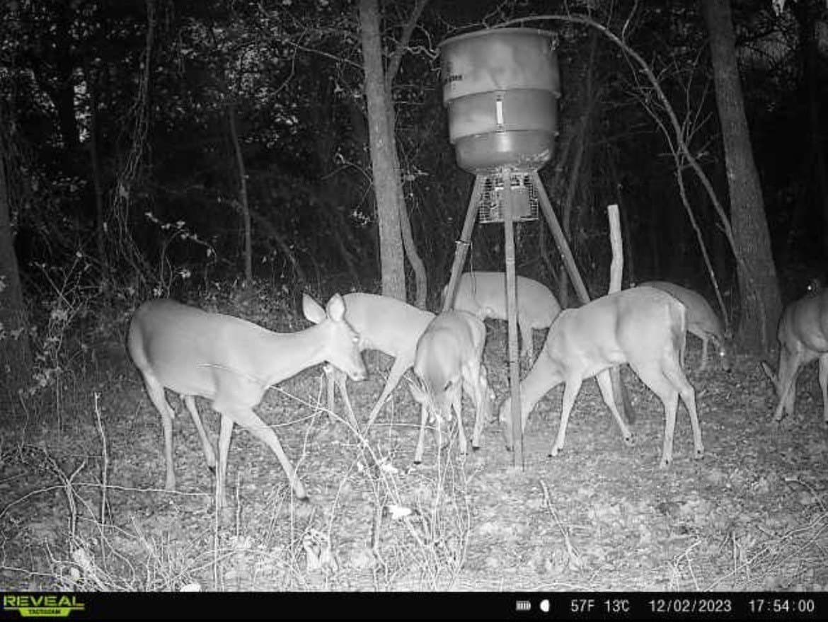 13.85 acres in Montague County - photo 8