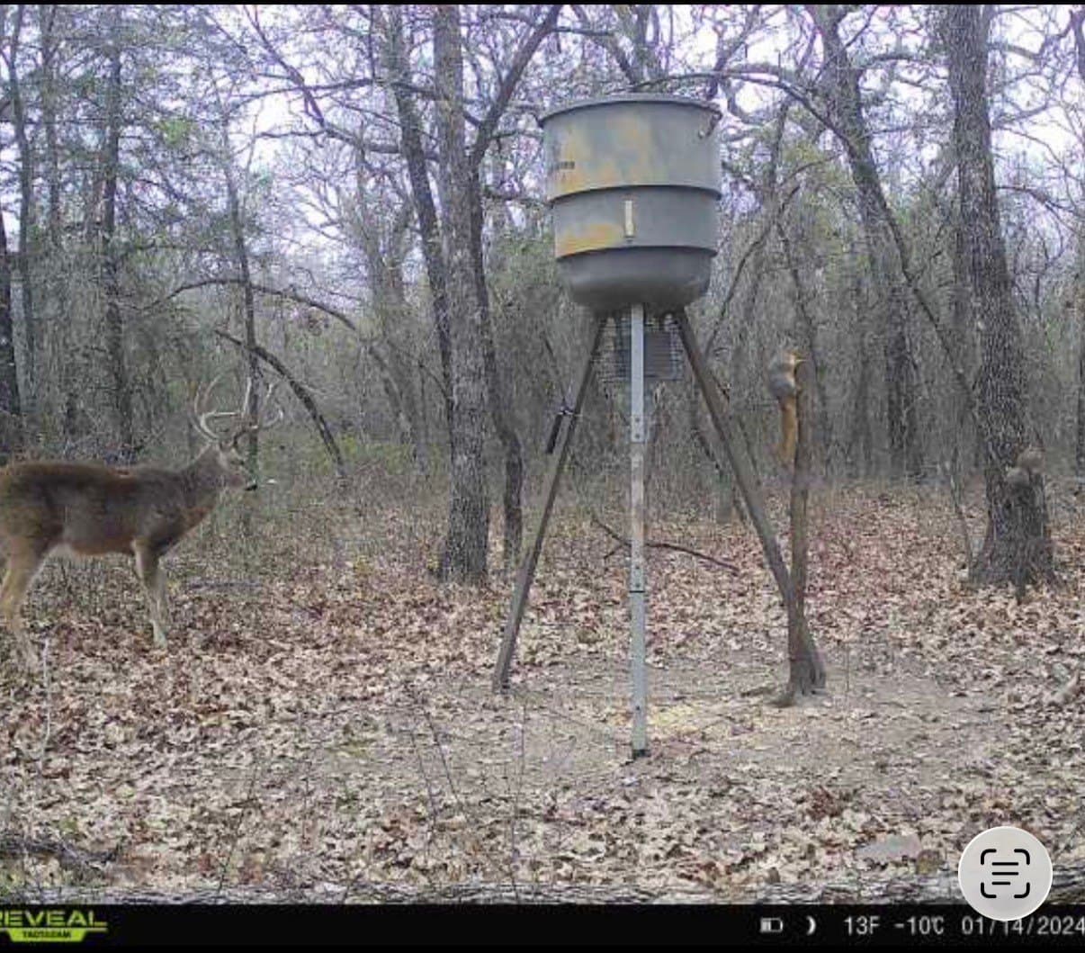 13.85 acres in Montague County - photo 6