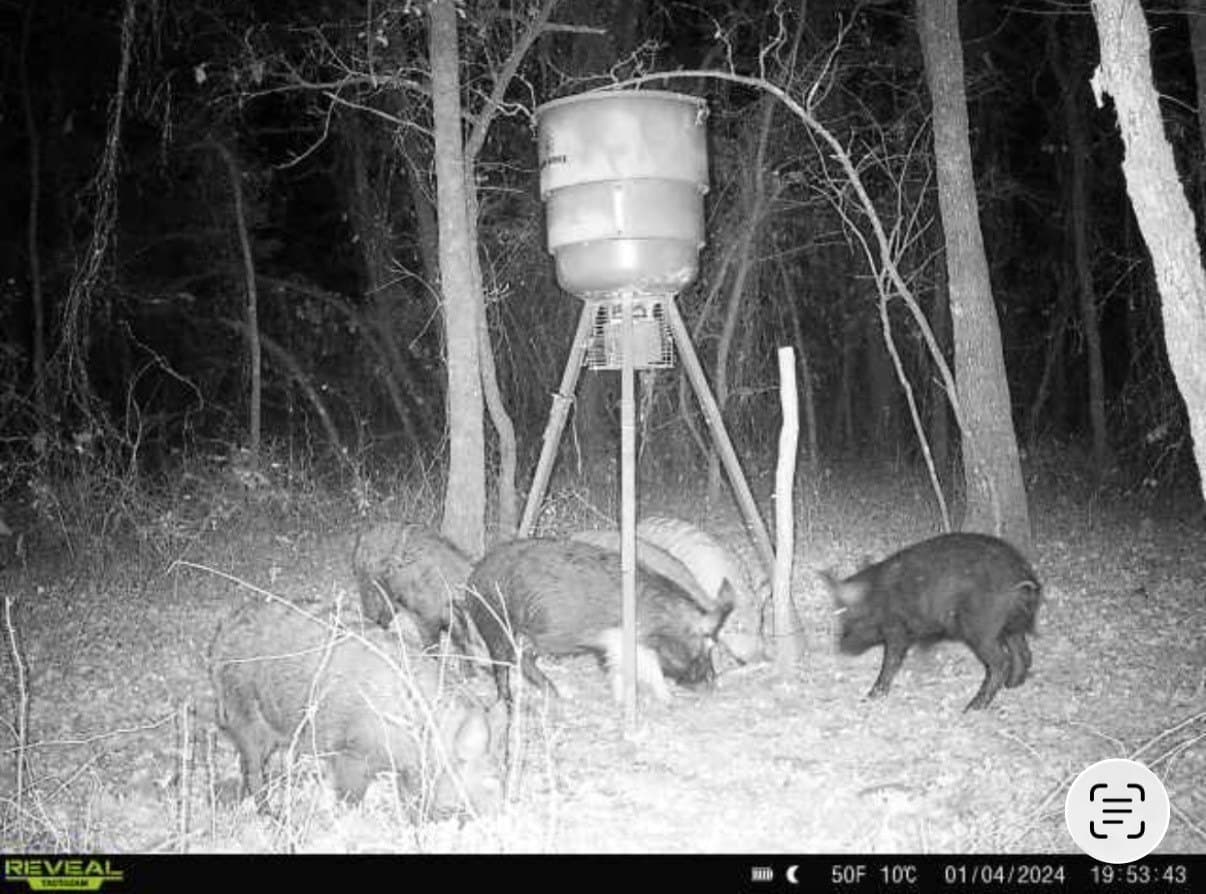 13.85 acres in Montague County - photo 7
