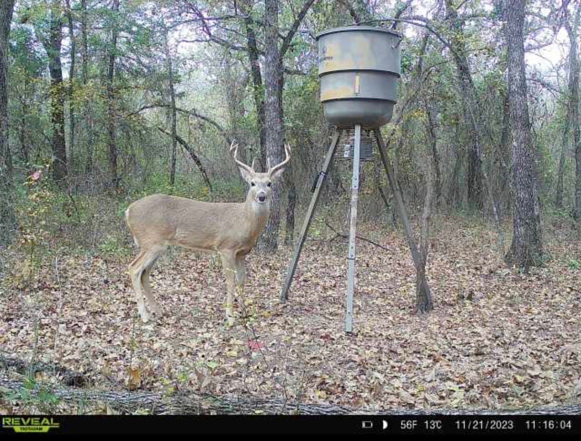 13.85 acres in Montague County - photo 9