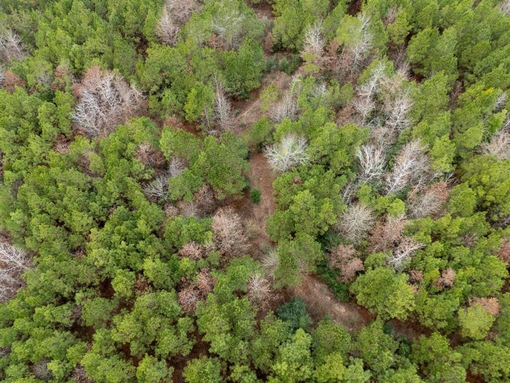 28 acres in Harrison County featured view