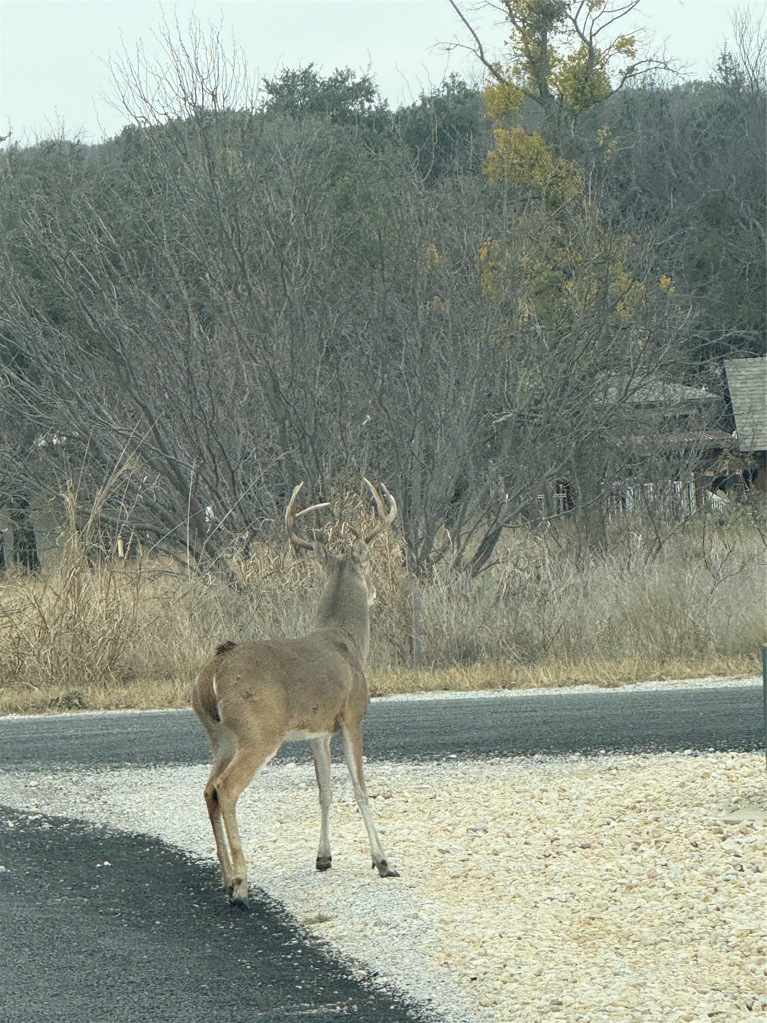 0.28 acres in Brown County - photo 7