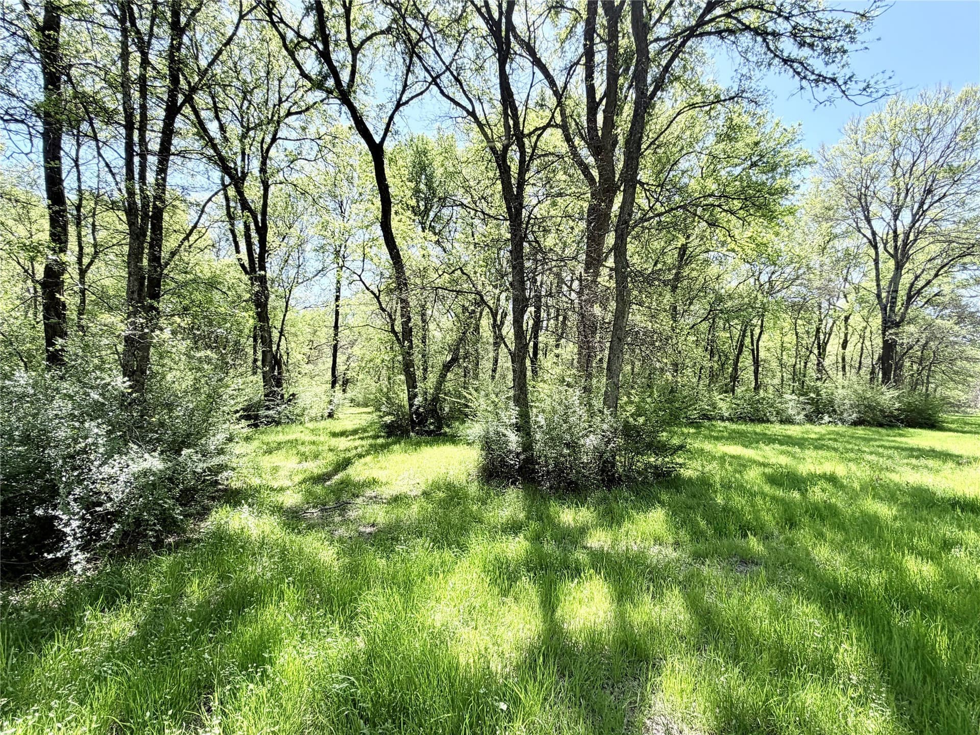 15.5 acres in Ellis County - photo 37