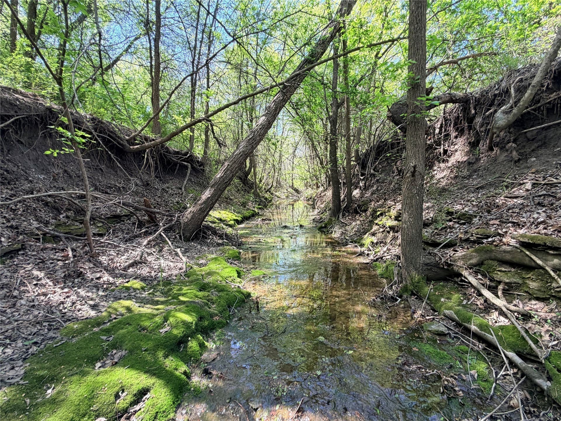 15.5 acres in Ellis County - photo 33