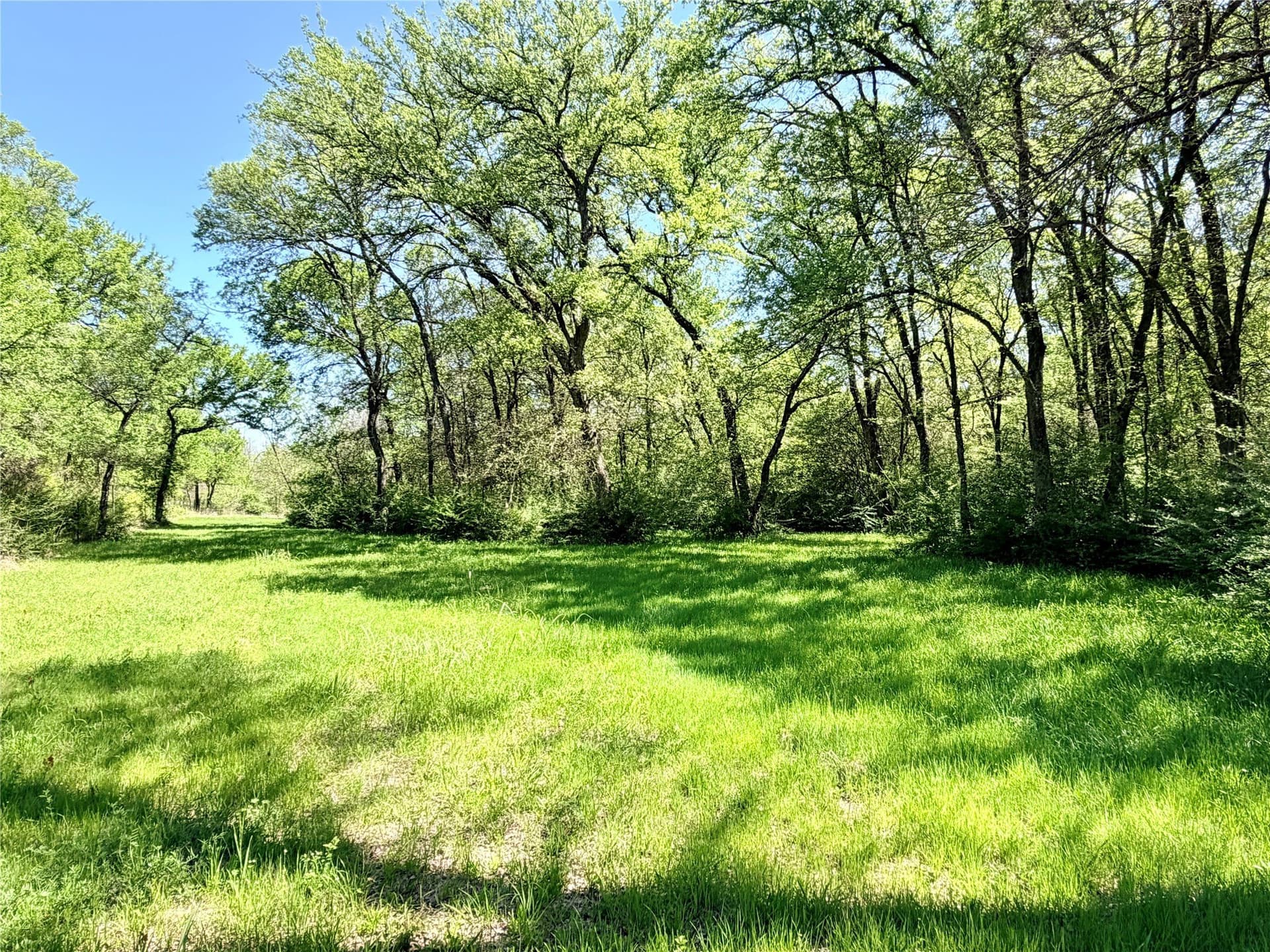 15.5 acres in Ellis County - photo 31