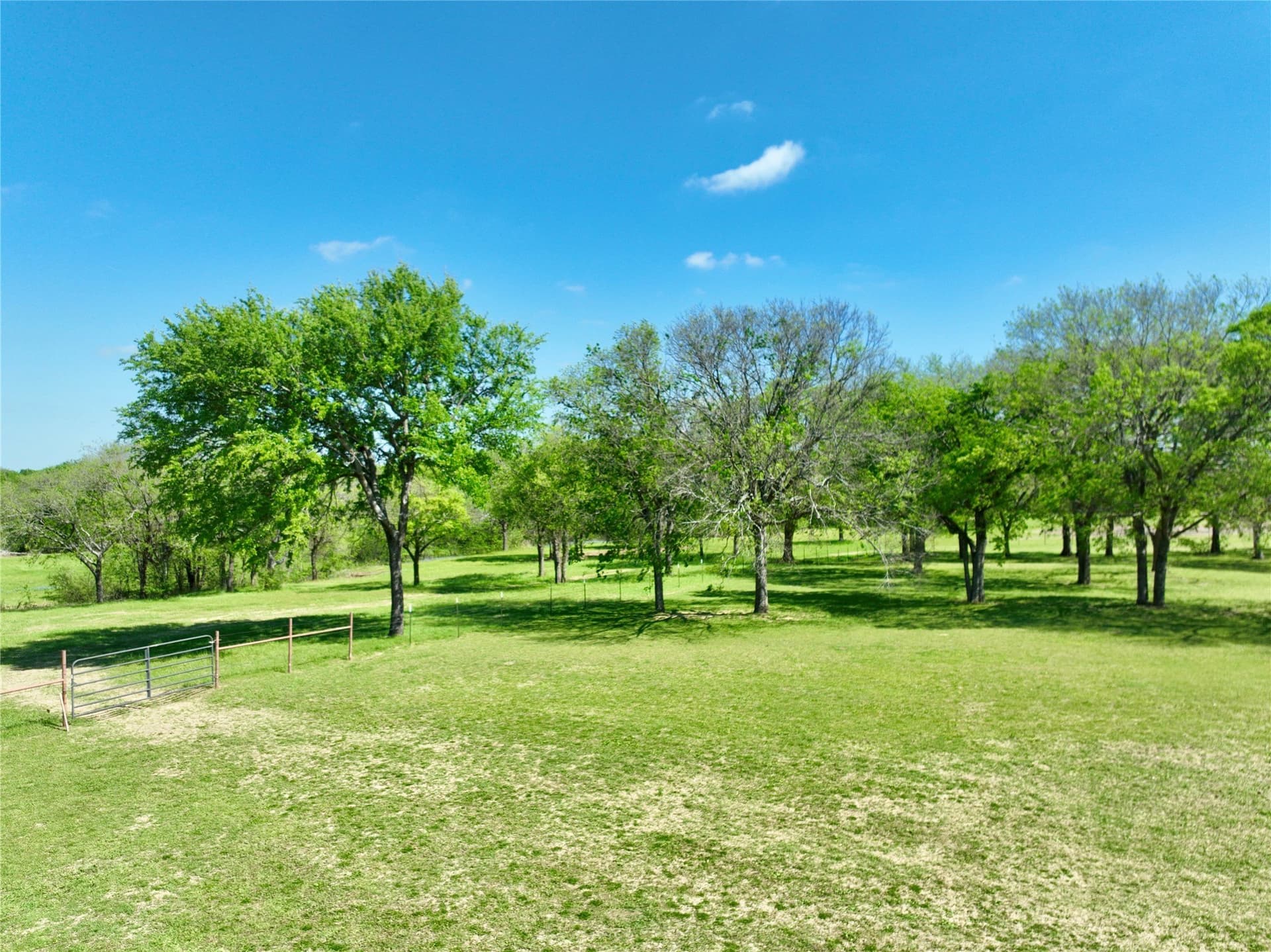 15.5 acres in Ellis County - photo 29