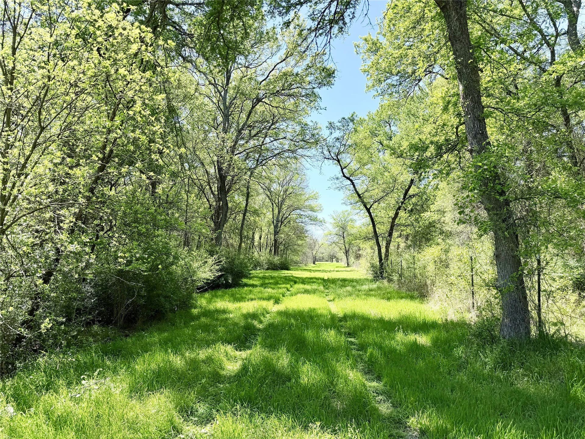 15.5 acres in Ellis County - photo 36