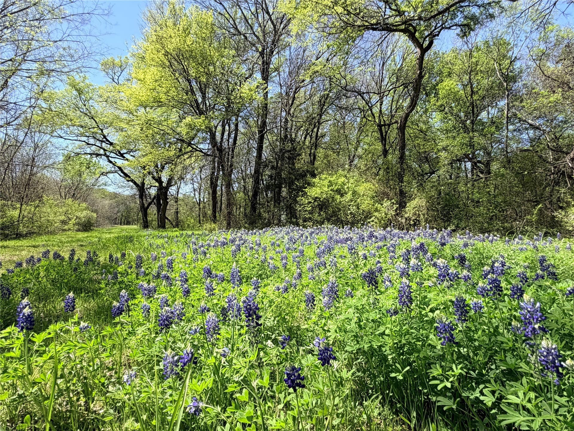 15.5 acres in Ellis County - photo 39