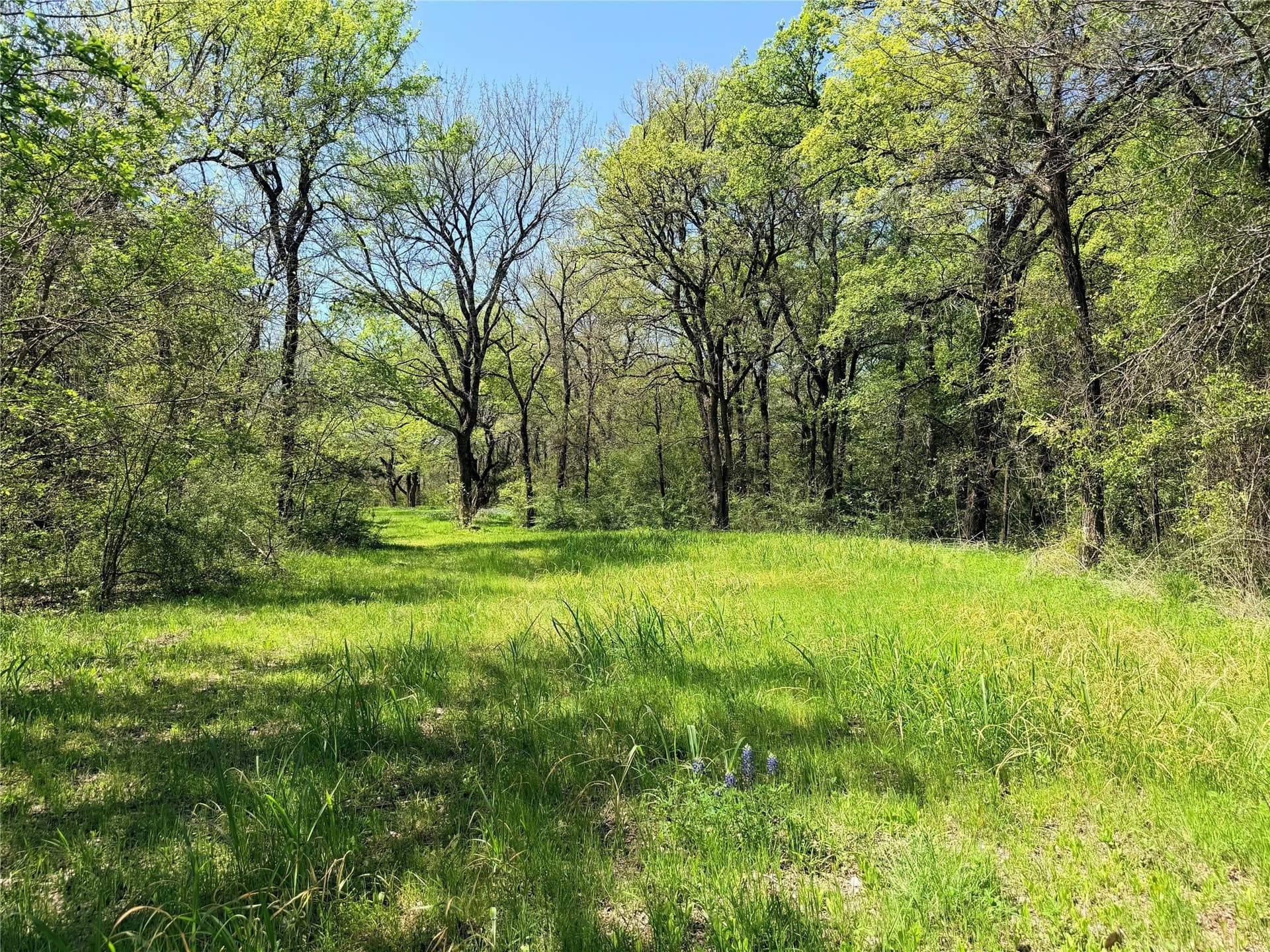 15.5 acres in Ellis County - photo 34