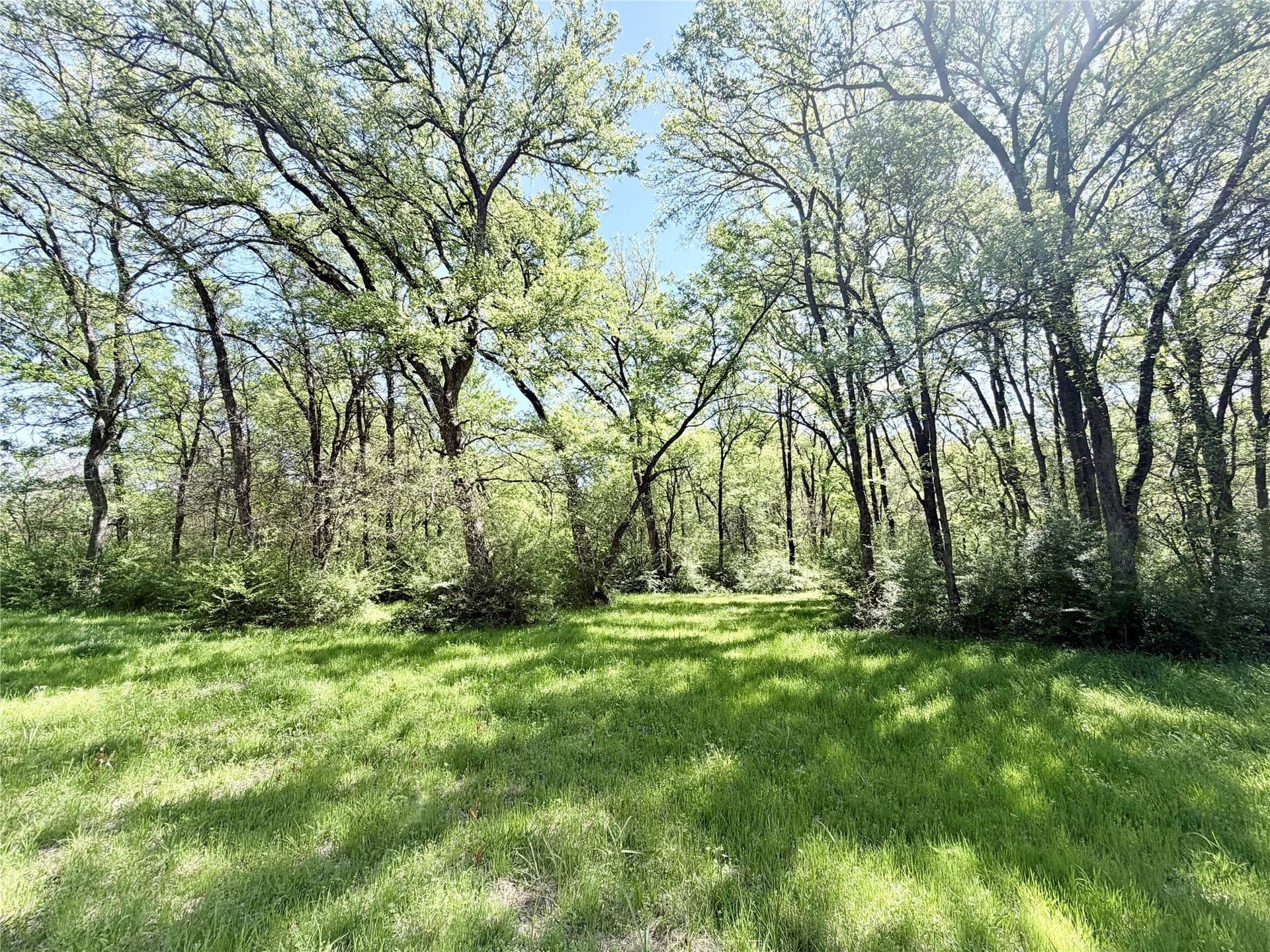 15.5 acres in Ellis County - photo 32