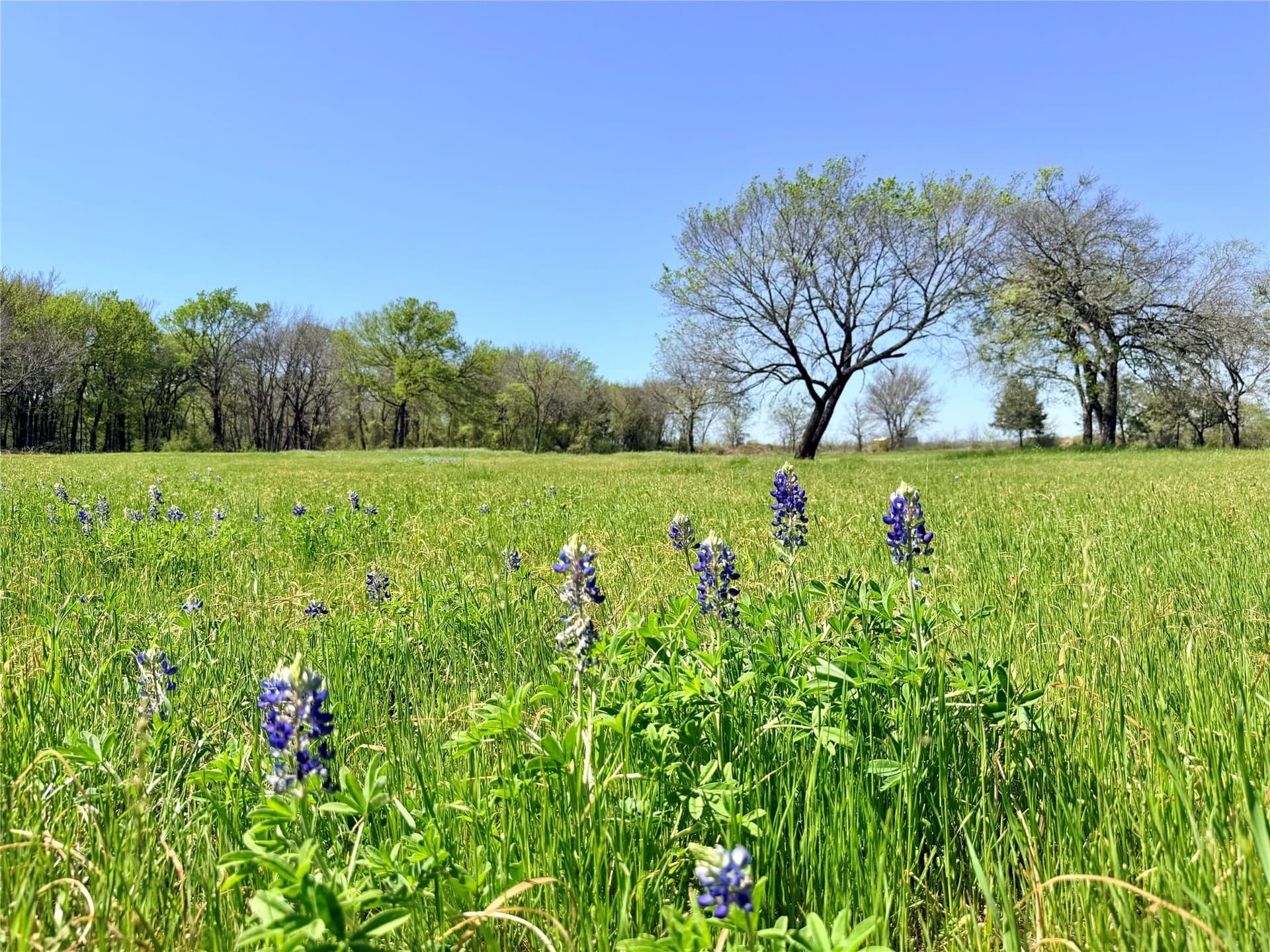 15.5 acres in Ellis County - photo 30