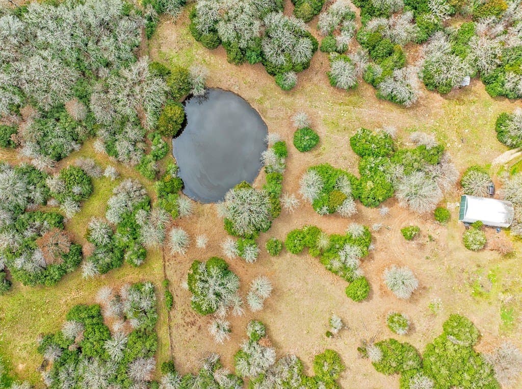 10.1 acres in Fayette County gallery image 3