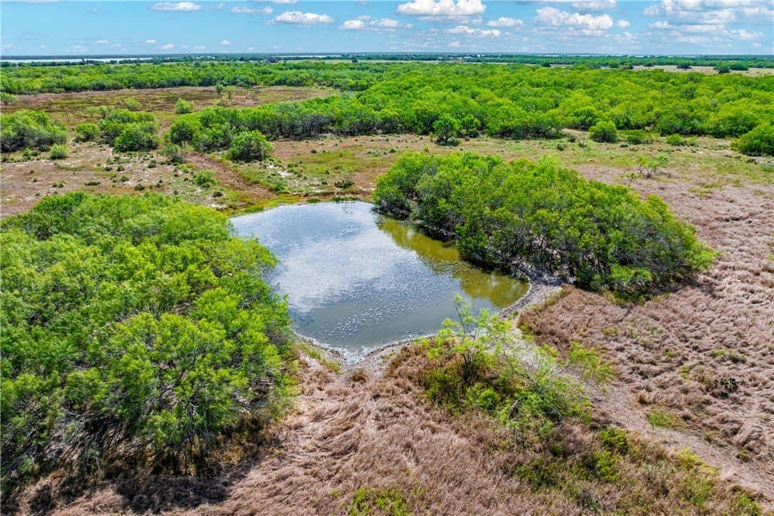 74.43 acres in Kleberg County - photo 12