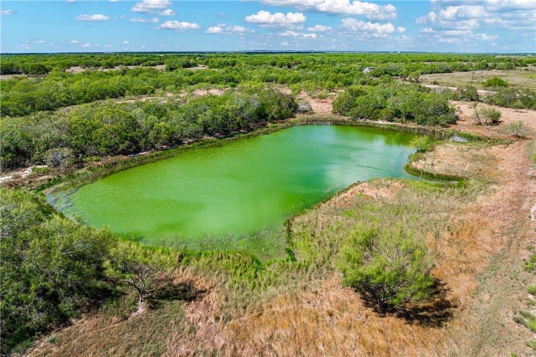 74.43 acres in Kleberg County - photo 11