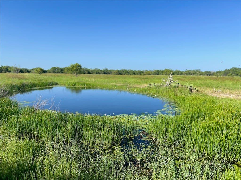74.43 acres in Kleberg County - photo 26