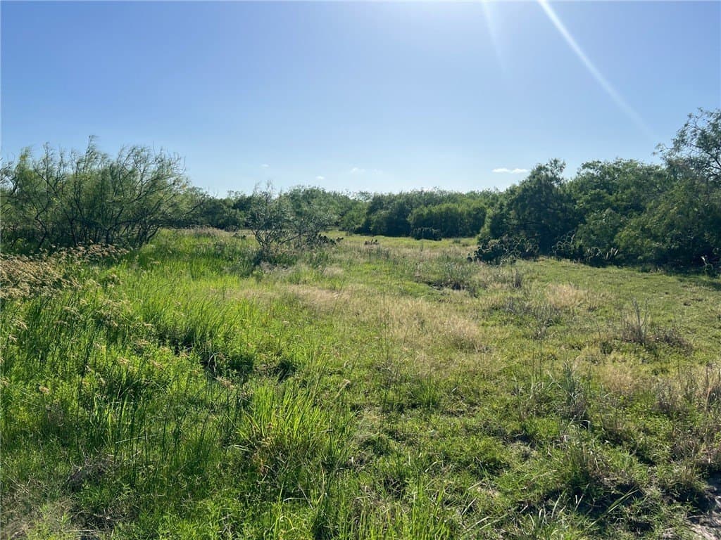74.43 acres in Kleberg County - photo 23