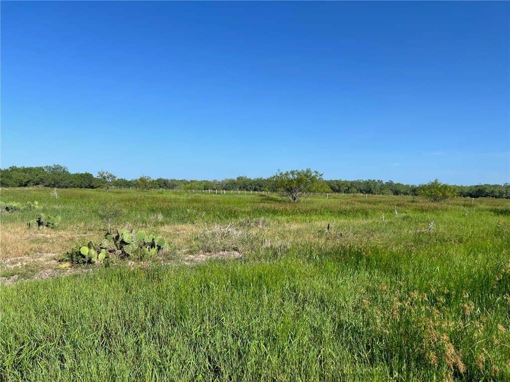 74.43 acres in Kleberg County - photo 24