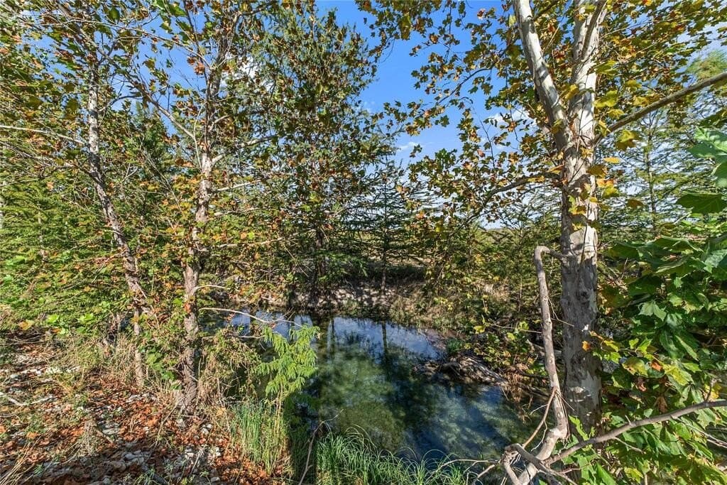 12.36 acres in Bandera County - photo 41