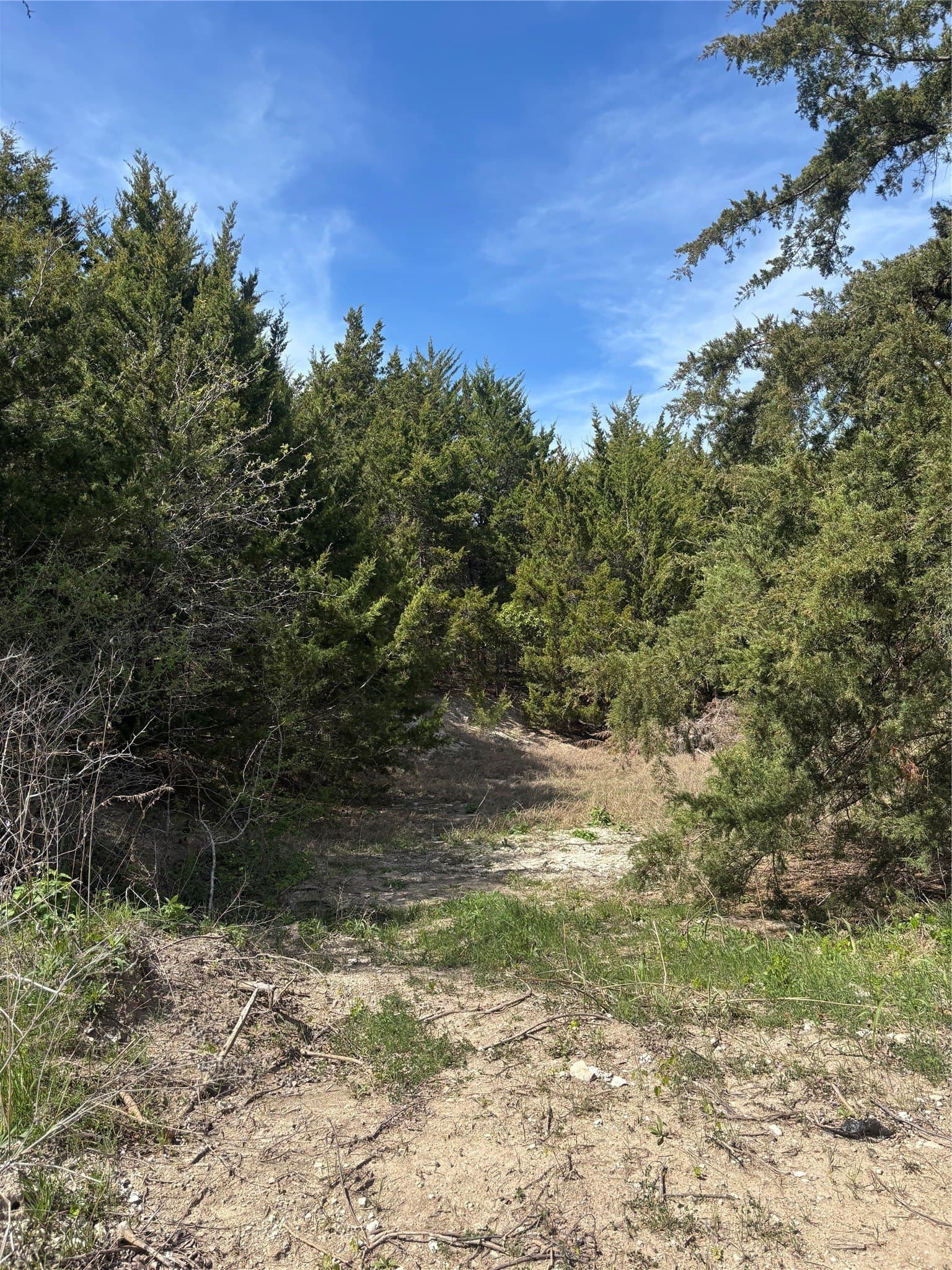 4.14 acres in Ellis County