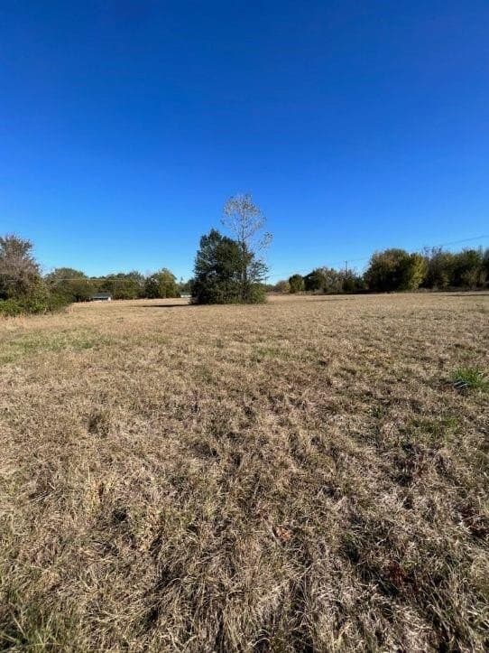 2.53 acres in Lamar County gallery image 4