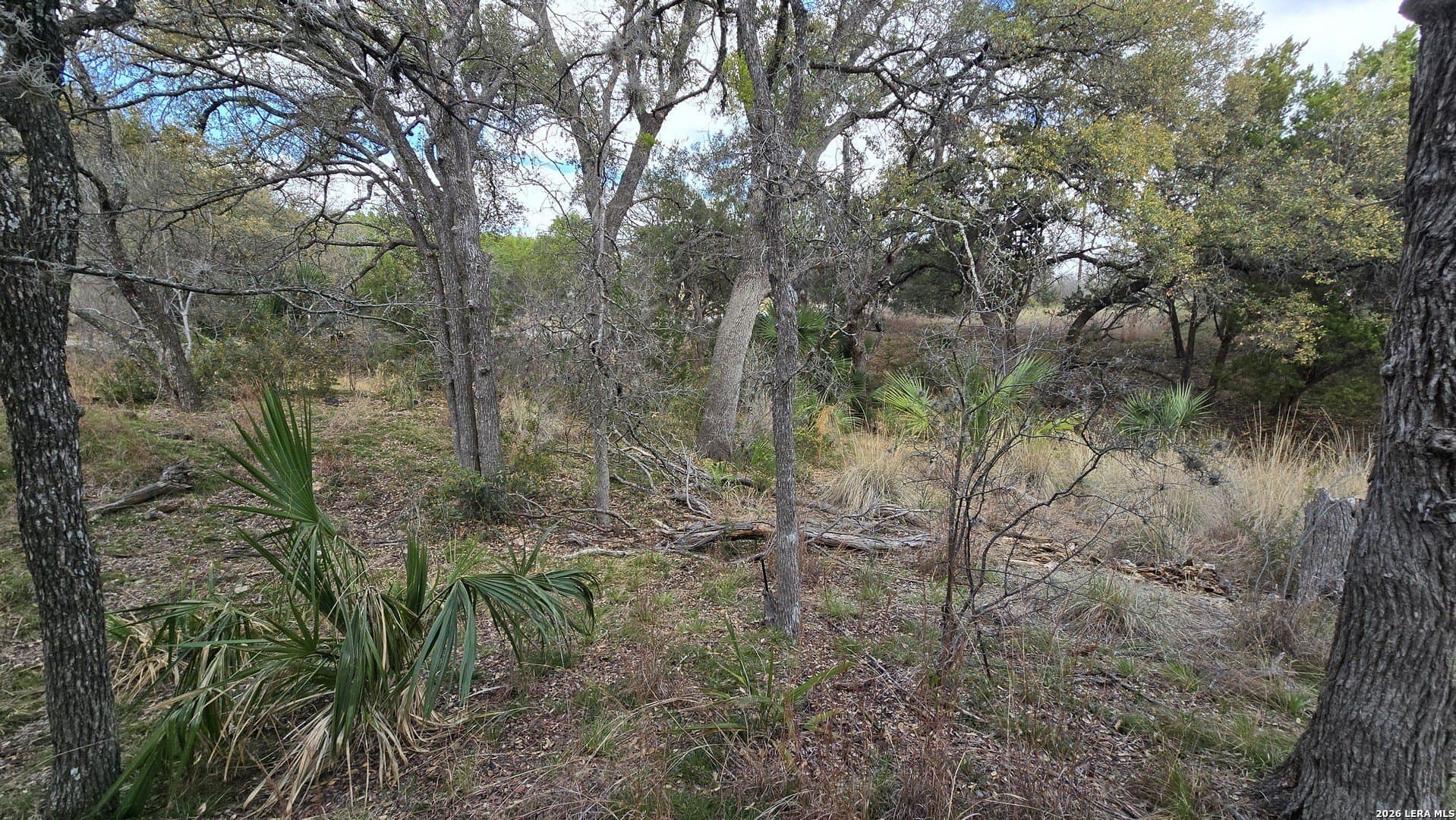 0.26 acres in Llano County gallery image 4