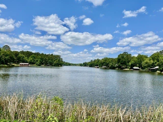 55 acres in Wood County - photo 28