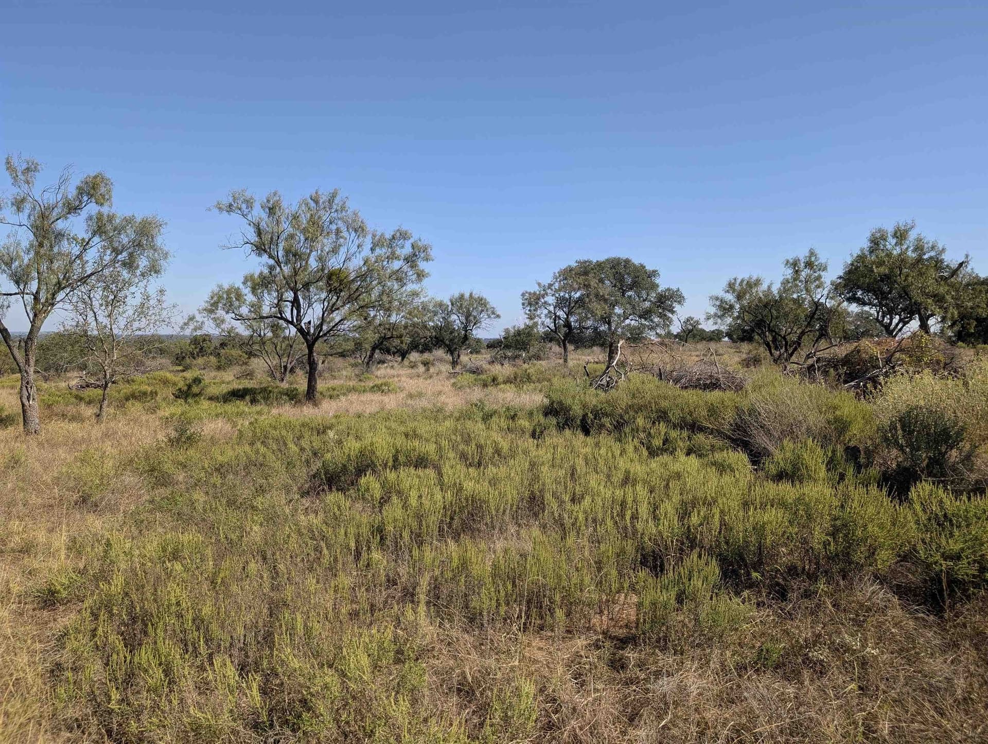 46.36 acres in Llano County - photo 9